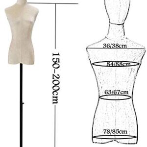 Mannequin Dress Form Torso Mannequin Torso Female Tailors Mannequin Display Bust Dummy for Dressmakers Detachable Head Suitable for Clothing Jewelry Show (Light Gray Small)