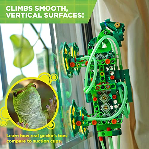 Thames & Kosmos Geckobot STEM Experiment Kit | Build a Wall-Climbing Robot & 6 Other Mechanical Creations | Explore The Physics of Air Pressure & Suction | Difficulty Level: Advanced