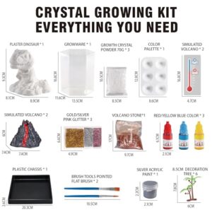 Dinosaur Crystal Growing Kit - STEM Science Experiment for Kids Ages 8-12, Grow Your Own Crystal Terrarium, DIY Gift for Christmas or Birthdays