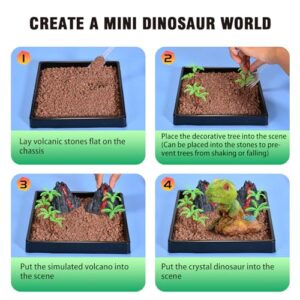 Dinosaur Crystal Growing Kit - STEM Science Experiment for Kids Ages 8-12, Grow Your Own Crystal Terrarium, DIY Gift for Christmas or Birthdays