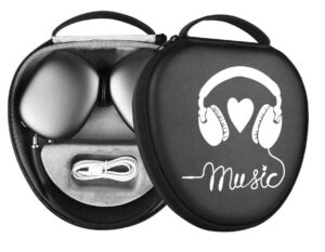 hard case for new airpods max, travel carrying headphone case with music cool music earpad cover protective portable storage bag gift apm5
