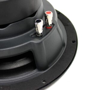 Rockford Fosgate 2 New R2D2-10 1000W 10" 2-Ohm Car Audio Subwoofers Subs R2D210