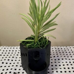 Mini Castle Succulent Planter Sustainable 3D Printed PLA Decorative Planter Succulent Planter Tower - Building Planter - Architecture Pot (Black)