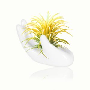 uaiagm hand-shaped air plant holder - ceramic mini stand for airplants - decorative white pot for live houseplants - unique desk, table, shelf decor