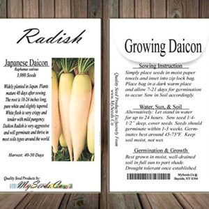 Big Pack - (3,000) Japanese Daikon - Daikon Radish Seeds - Japanese Radish - Non-GMO Seeds by MySeeds.Co (Big Pack - Daicon Radish)