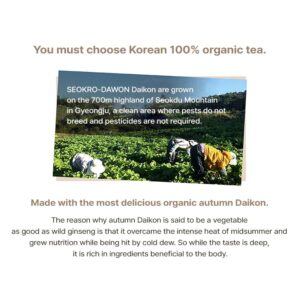 CYSO Seokrodawon 100% Korean Organic Daikon Fermented Tea Radish Beverage 100g | Rich in Vitamin C