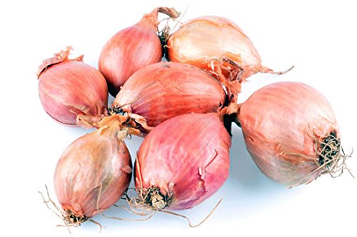 French Shallots 1 lb.