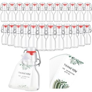 Dandat 24 Pieces 2 oz Mini Swing Top Glass Bottles Flip Top Glass Bottle Vanilla Extract Bottles with 24 Organza Bags and 24 Thank You Tags for Olive Oil Hot Sauce Potion Crafts Wedding Party Favors