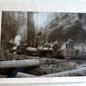 The Mendocino Coast: A Pictorial History