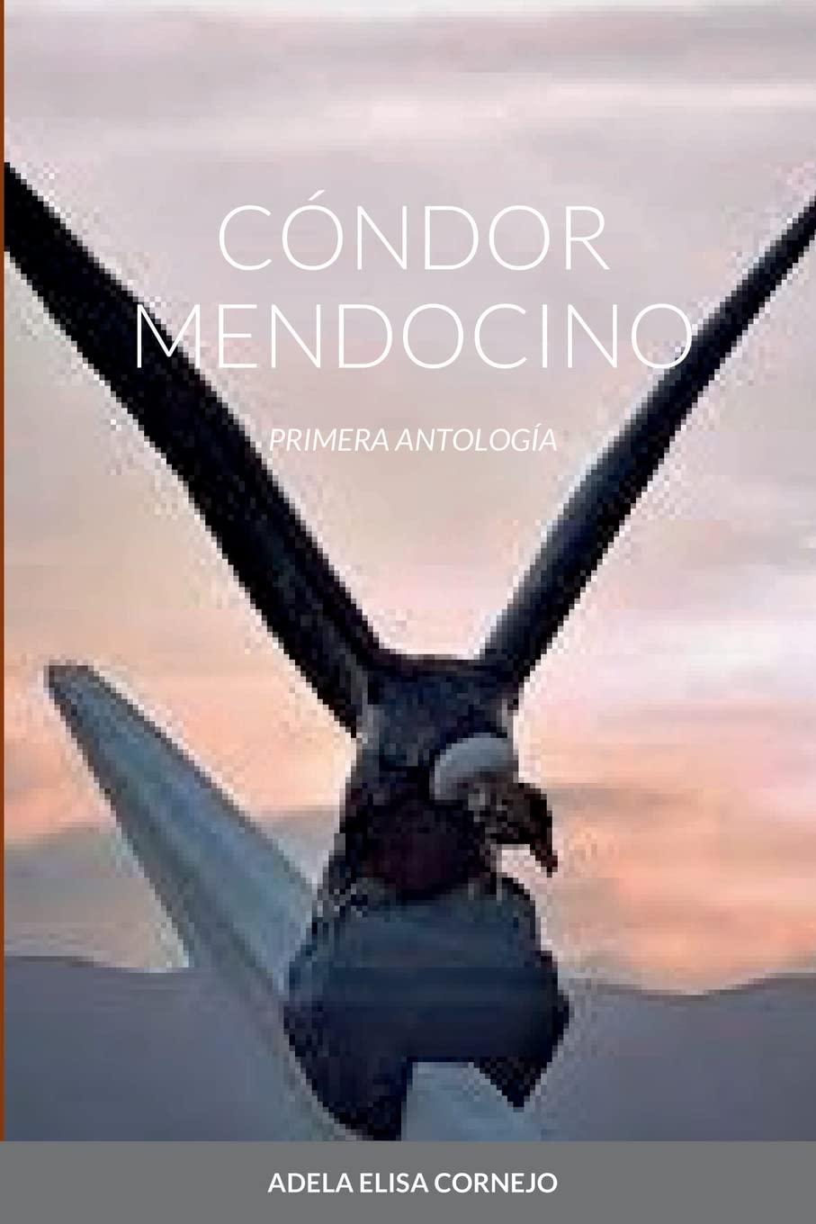 CÓNDOR MENDOCINO: PRIMERA ANTOLOGÍA, MUJER, POESÍA (Spanish Edition)