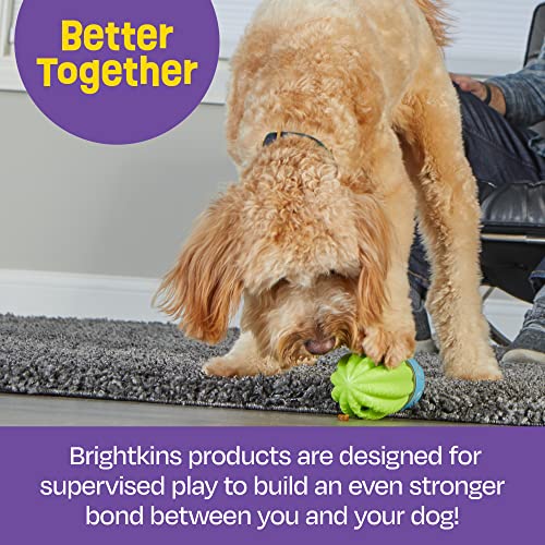 Brightkins Cactus Surprise Treat Dispenser - Treat Dog Toys, Treat Dispenser for Dogs, Dog Birthday Toy for All Breeds Medium