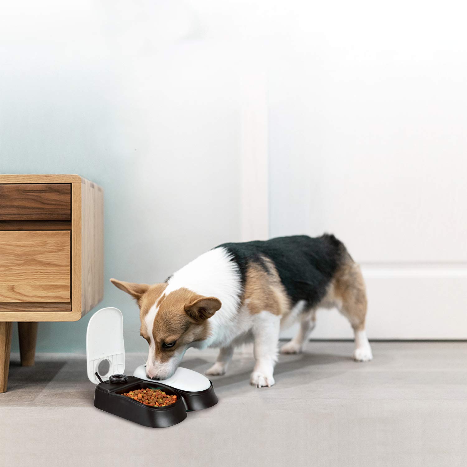 PAWISE Automatic Cat Feeders 2 Meal Automatic Dog Feeder,Dog/Cat Food Dispenser 1.5 Cups, Schedule Meal or Treat, with 48-Hour Timer