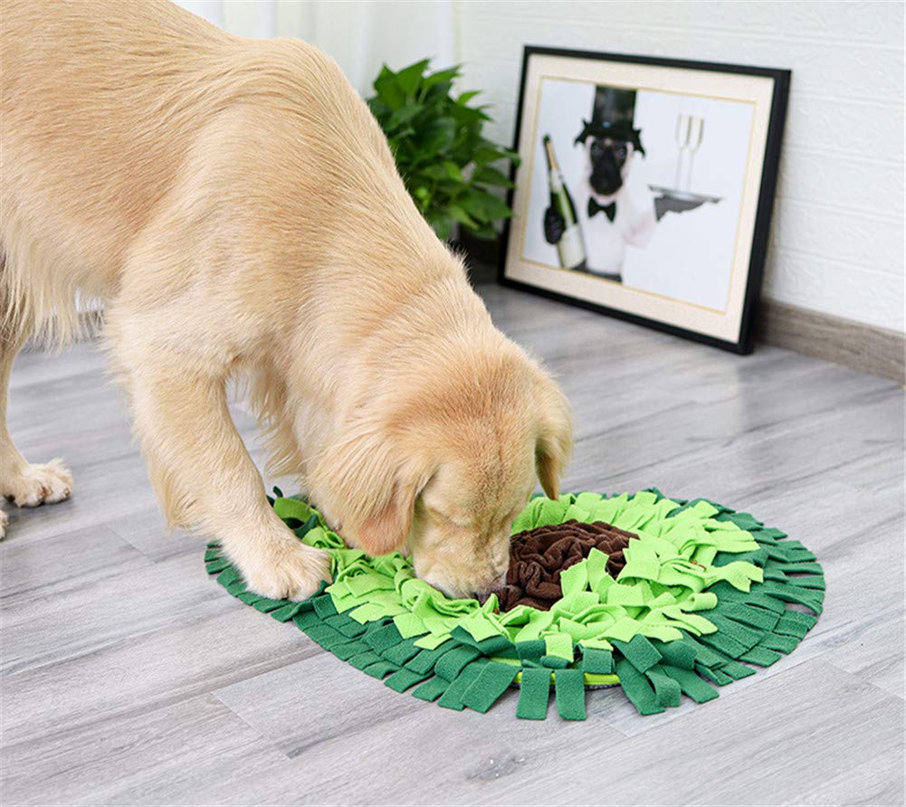 Dog Snuffle Blanket Pet Interactive Mat Nosework Feeding Mat Treat Dispenser Natural Foraging Toys for Small Large Dogs Cats Rabbits (Avocado)