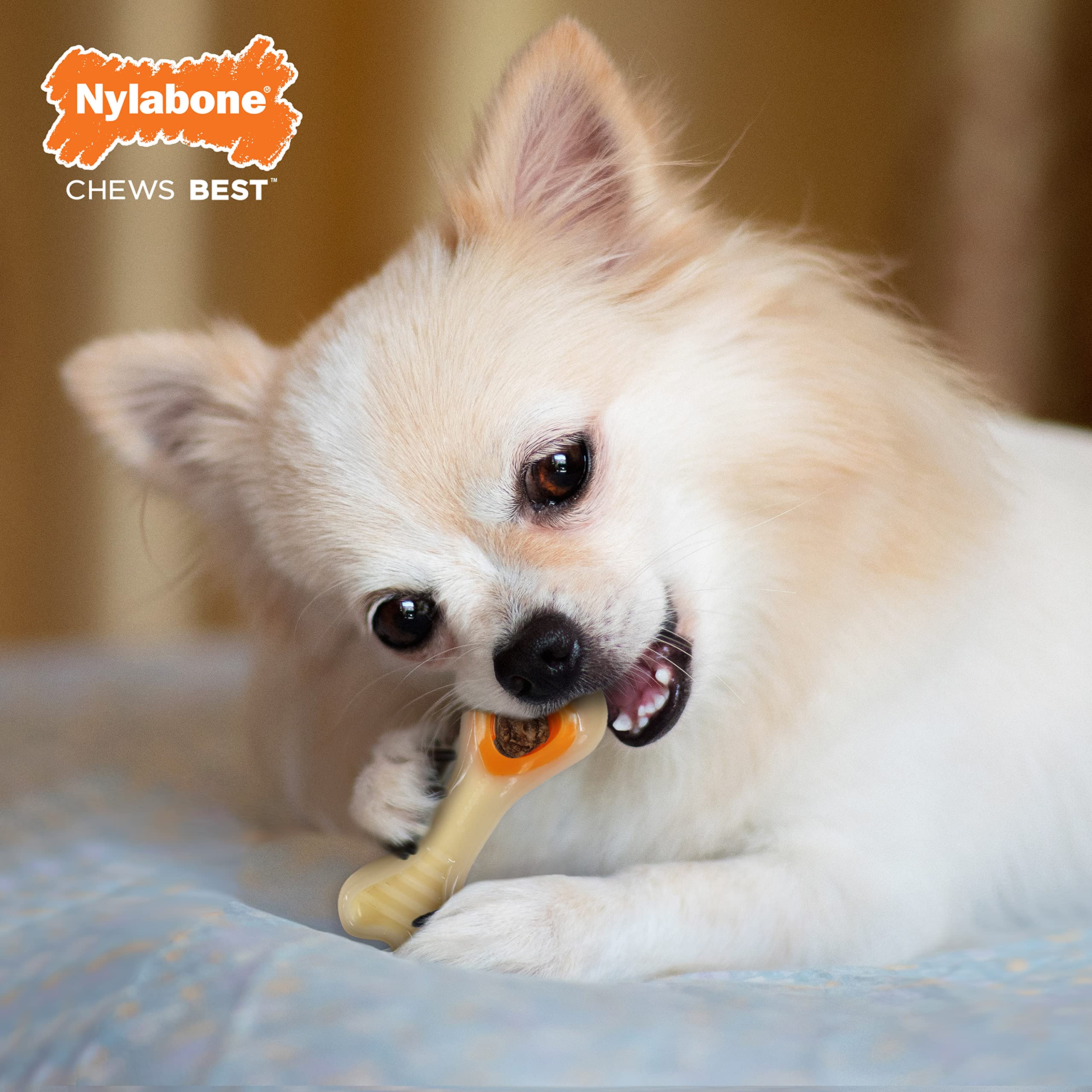 Nylabone Chew & Treat Toy for Dogs - Interactive Dog Enrichment Chew & Treat Toys