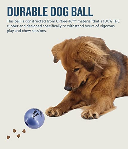 Planet Dog Orbee-Tuff Essentials Lavender Scented Interactive Dog Ball Treat Dispenser Toy, Purple