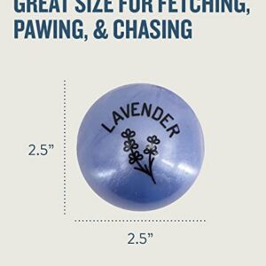 Planet Dog Orbee-Tuff Essentials Lavender Scented Interactive Dog Ball Treat Dispenser Toy, Purple