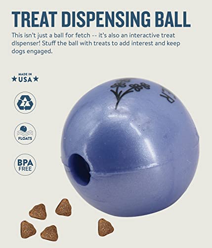 Planet Dog Orbee-Tuff Essentials Lavender Scented Interactive Dog Ball Treat Dispenser Toy, Purple