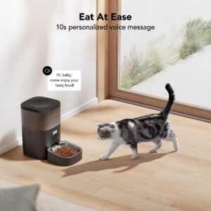 PETLIBRO Automatic Cat Feeder, Automatic Cat Food Dispenser with Timer Interactive Voice Recorder, Auto Cat Feeder with 1-4 Meals Control Dry Food, Black Transparent