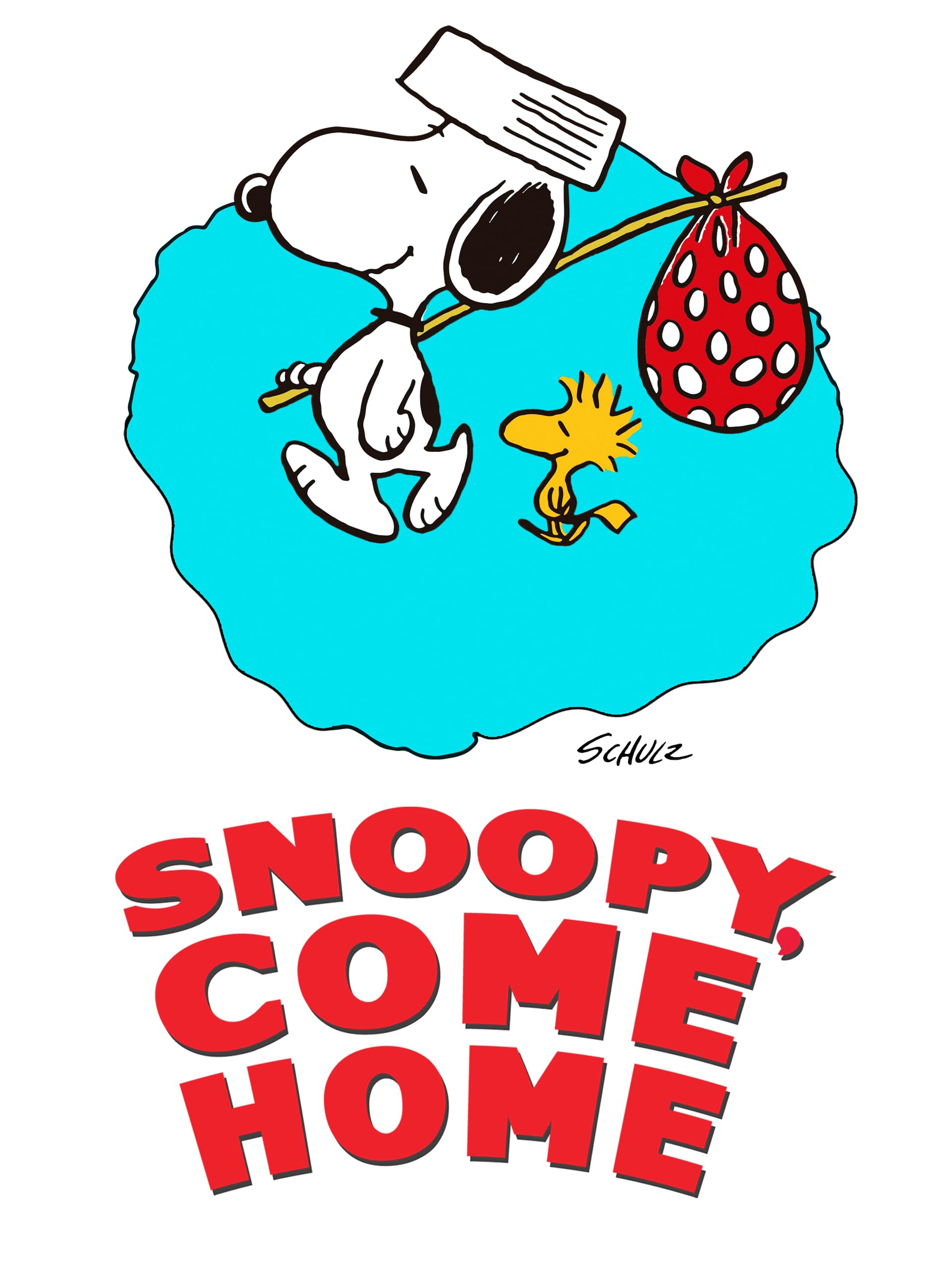 Snoopy Come Home