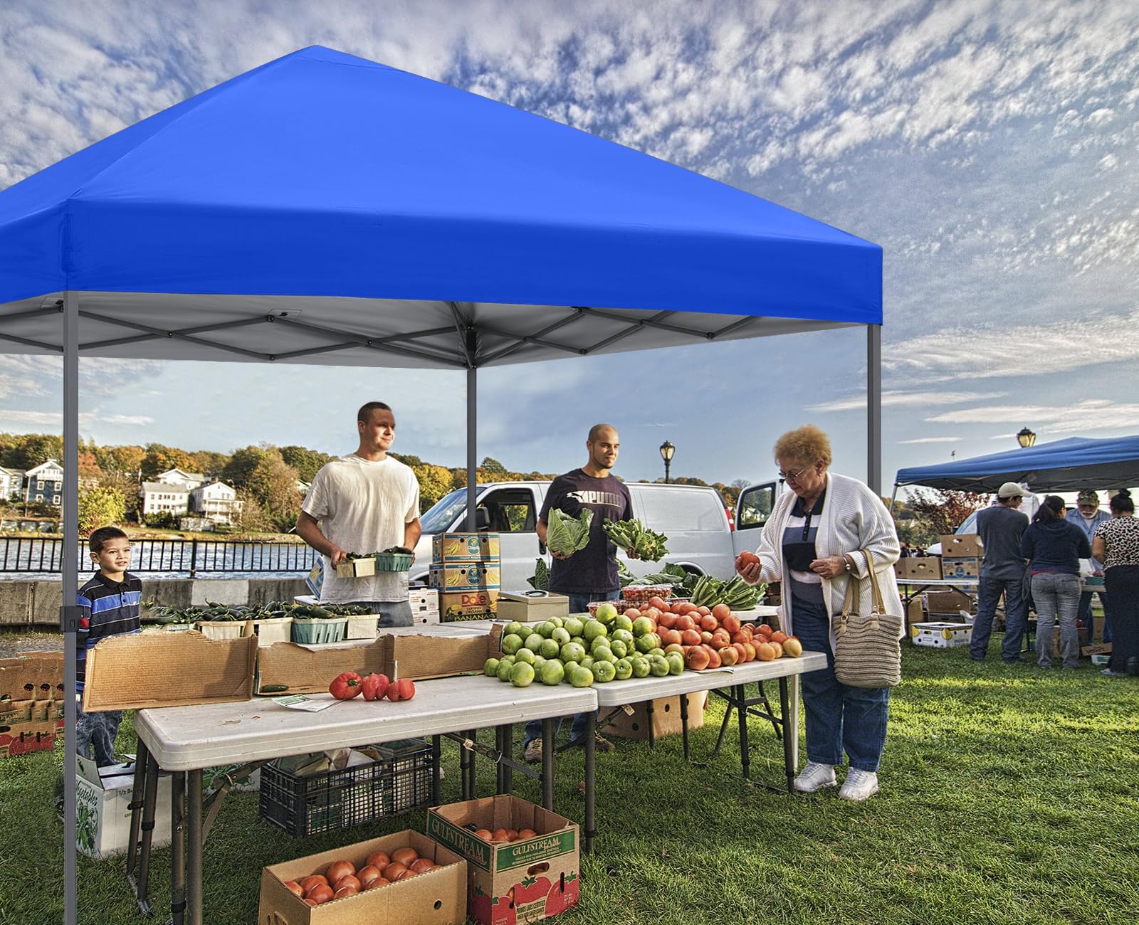 ABCCANOPY Durable Easy Pop up Canopy Tent 10x10, Royal Blue