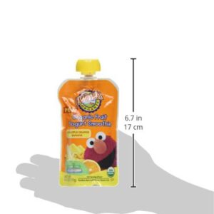 Earth's Best Sesame Street Fruit Yogurt Smoothies - Pineapple Banana Orange - 4.2 oz - 6 pk