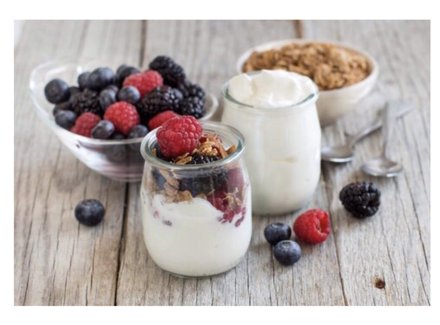 Choose any TWO Heirloom Yogurt Starter Cultures OR Sourdough Starters