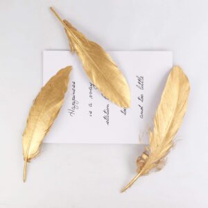 HaiMay 80 Pieces Gold Feathers for Craft Wedding Home Party Decorations, 6-8 Inches Goose Feathers Gold Craft Feathers