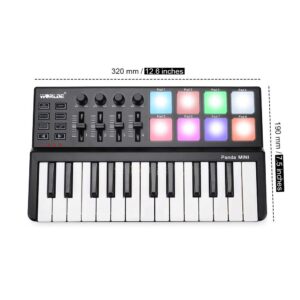 Vangoa MIDI Keyboard Controller 25 Keys, Worlde Panda MINI USB Midi Keyboard with Drum Pads, Beat Maker Machine Pad, Black