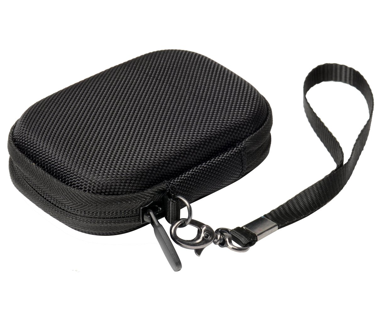 CaseSack case for Beats Flex Wireless Earbuds. Also for Powerbeats High-Performance Wireless Earbuds.