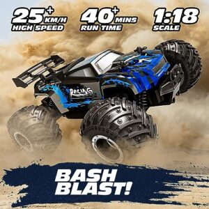 Tecnock RC Cars for Boys 8-12, 1:18 Scale 25 KM/H Fast Remote Control Car for Adults, 2.4GHz 2WD Off Road Monster Truck with 2 Rechargeable Batteries & LED Lights, Toys Gifts for Kids