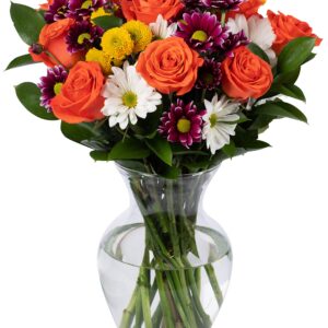 BENCHMARK BOUQUETS - Life is Good Orange (Glass Vase Included), Next-Day Delivery, Gift Mother’s Day Fresh Flowers