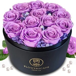 12 forever roses in a box - preserved rose bouquet - valentines mothers day anniversary birthday flowers for women mom wife girlfriend and her (round-purple)
