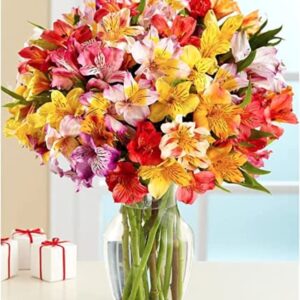 BloomsyBox: 24 Multicolored Alstroemeria Bouquet Flowers, Two Dozen, Long Lasting & Hand-Tied, Farm Fresh Cut Flowers Bouquet, birthday flowers,anniversary Flowers | No Vase