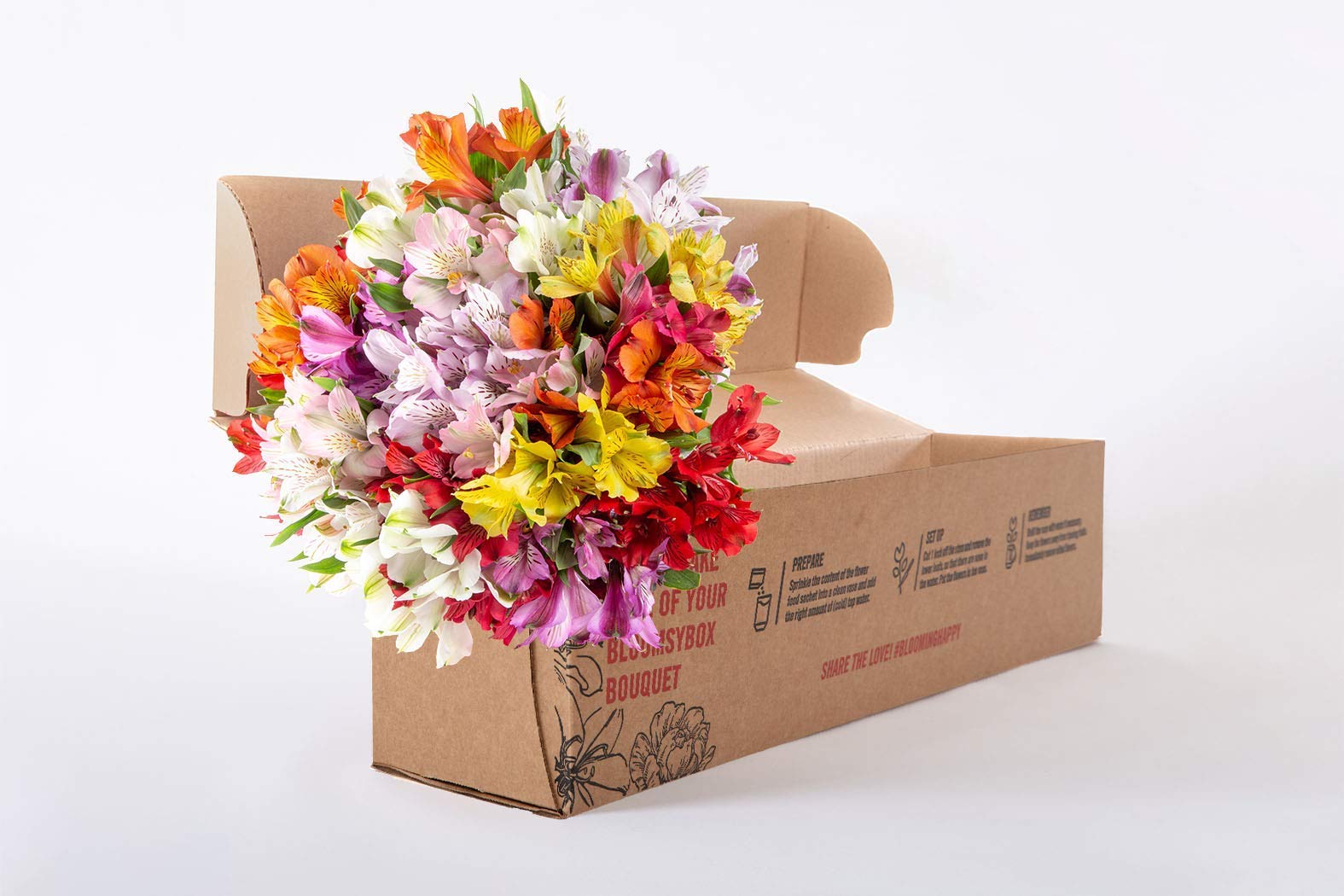 BloomsyBox: 24 Multicolored Alstroemeria Bouquet Flowers, Two Dozen, Long Lasting & Hand-Tied, Farm Fresh Cut Flowers Bouquet, birthday flowers,anniversary Flowers | No Vase