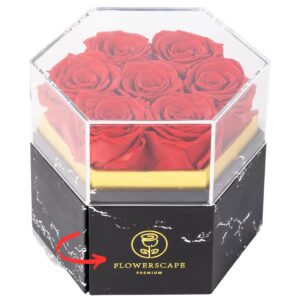 Forever Rose Flowers Delivery Prime - Fresh Bouquet - Valentines Mothers Day Birthday Anniversary for Women Mom Wife Girlfriend and Her - 7Pcs (Hexagon-Red)