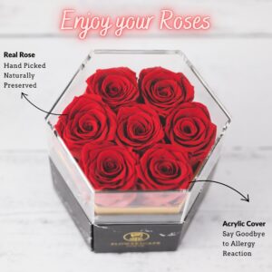 Forever Rose Flowers Delivery Prime - Fresh Bouquet - Valentines Mothers Day Birthday Anniversary for Women Mom Wife Girlfriend and Her - 7Pcs (Hexagon-Red)