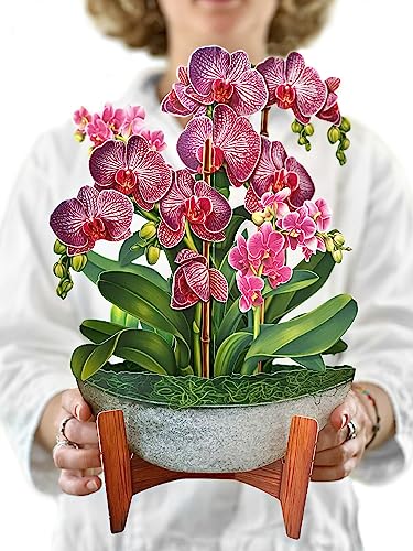 Freshcut Paper Pop Up Cards, Orchid Oasis, 12 Inch Life Sized Forever Flower Bouquet 3D Popup Greeting Cards, Birthday Gift Cards, Gifts for Her with Note Card & Envelope