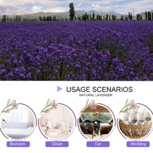 CoolCrafts Dried Lavender Flowers, Dry Lavender Buds Bulk Wholesale Fragrant Lavender for Wedding Toss, Crafts, Sachets - 1/2 Pound