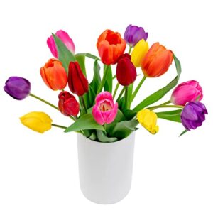 Stargazer Barn - Prime Overnight Delivery - The Happy Bouquet- Farm Fresh Colorful Tulips - Ship directly from our farm to your door, Red, Pink, Yellow, Purple, Orange