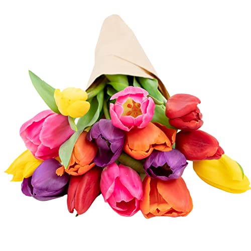 Stargazer Barn - Prime Overnight Delivery - The Happy Bouquet- Farm Fresh Colorful Tulips - Ship directly from our farm to your door, Red, Pink, Yellow, Purple, Orange