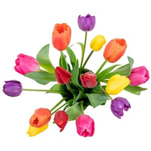 Stargazer Barn - Prime Overnight Delivery - The Happy Bouquet- Farm Fresh Colorful Tulips - Ship directly from our farm to your door, Red, Pink, Yellow, Purple, Orange