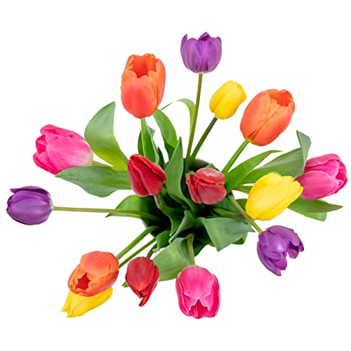 Stargazer Barn - Prime Overnight Delivery - The Happy Bouquet- Farm Fresh Colorful Tulips - Ship directly from our farm to your door, Red, Pink, Yellow, Purple, Orange