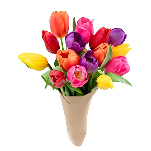 Stargazer Barn - Prime Overnight Delivery - The Happy Bouquet- Farm Fresh Colorful Tulips - Ship directly from our farm to your door, Red, Pink, Yellow, Purple, Orange