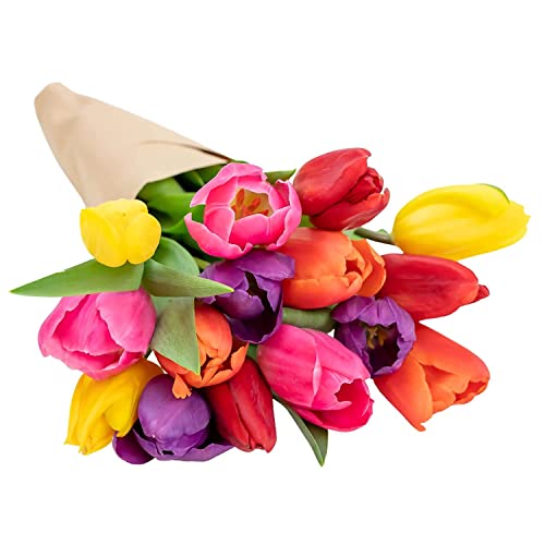 Stargazer Barn - Prime Overnight Delivery - The Happy Bouquet- Farm Fresh Colorful Tulips - Ship directly from our farm to your door, Red, Pink, Yellow, Purple, Orange