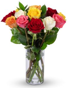 benchmark bouquets - 12 stem rainbow roses (glass vase included), next-day delivery, gift fresh flowers for birthday, anniversary, get well, sympathy, graduation, congratulations, thank you