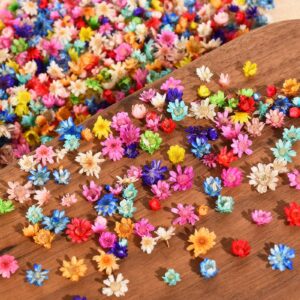 900 PCS Small Dried Flowers for Crafts Resin - Tiny Dried Flowers for Nails, Natural Real Dried Pressed Flowers Bulk for DIY Jewelry Earrings Epoxy Molds, Candles Making, Soap Making