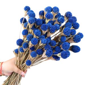 50 Pcs Natural Blue Dried Thistle Flowers Bouquet, Bulk Dried Craspedia Billy Balls Button Plant, 17'' DIY Floral Arrangements for Home Boho Kitchen Table Wedding Vase Decor