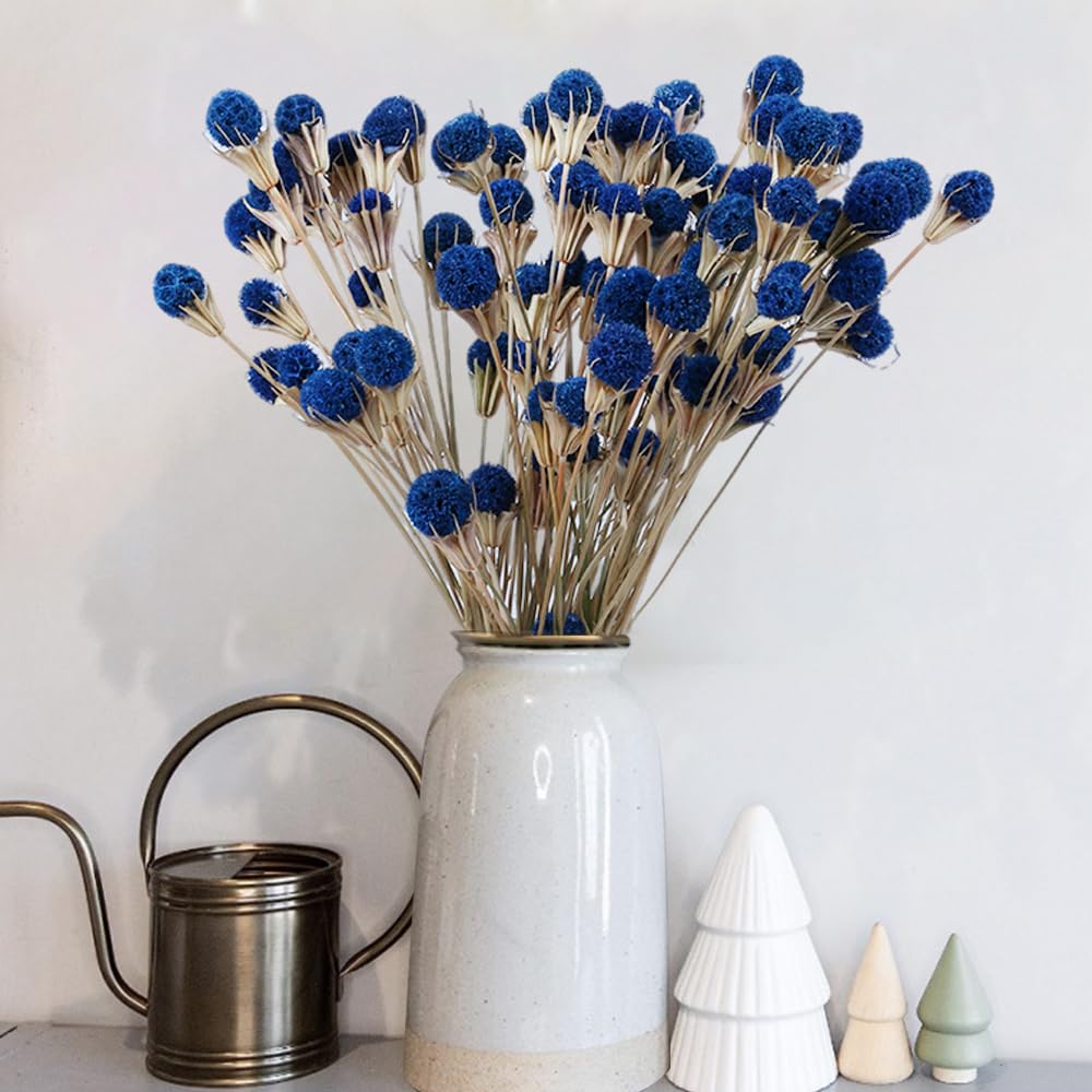 50 Pcs Natural Blue Dried Thistle Flowers Bouquet, Bulk Dried Craspedia Billy Balls Button Plant, 17'' DIY Floral Arrangements for Home Boho Kitchen Table Wedding Vase Decor