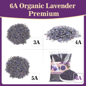 3OZ French Lavender Dried Lavender - Sukh Organic Lavender Sachets for Drawers and Closets Lavender Flowers Sachet Bags Fresh Scents Lavender Sachet Bags Dried Flowers Bulk