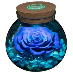 roliys preserved real roses with colorful mood light wishing bottle, eternal rose，never withered flowers, table decor,christmas anniversary valentine's, blue 4.3inch, 1pcs